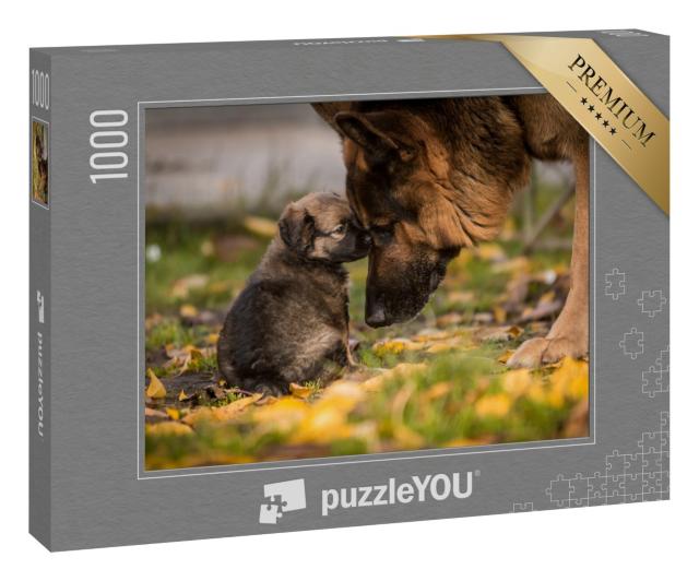 Puzzle 1000 Teile „Liebe zwischen Welpe und ausgewachsenem Deutschem Schäferhund“