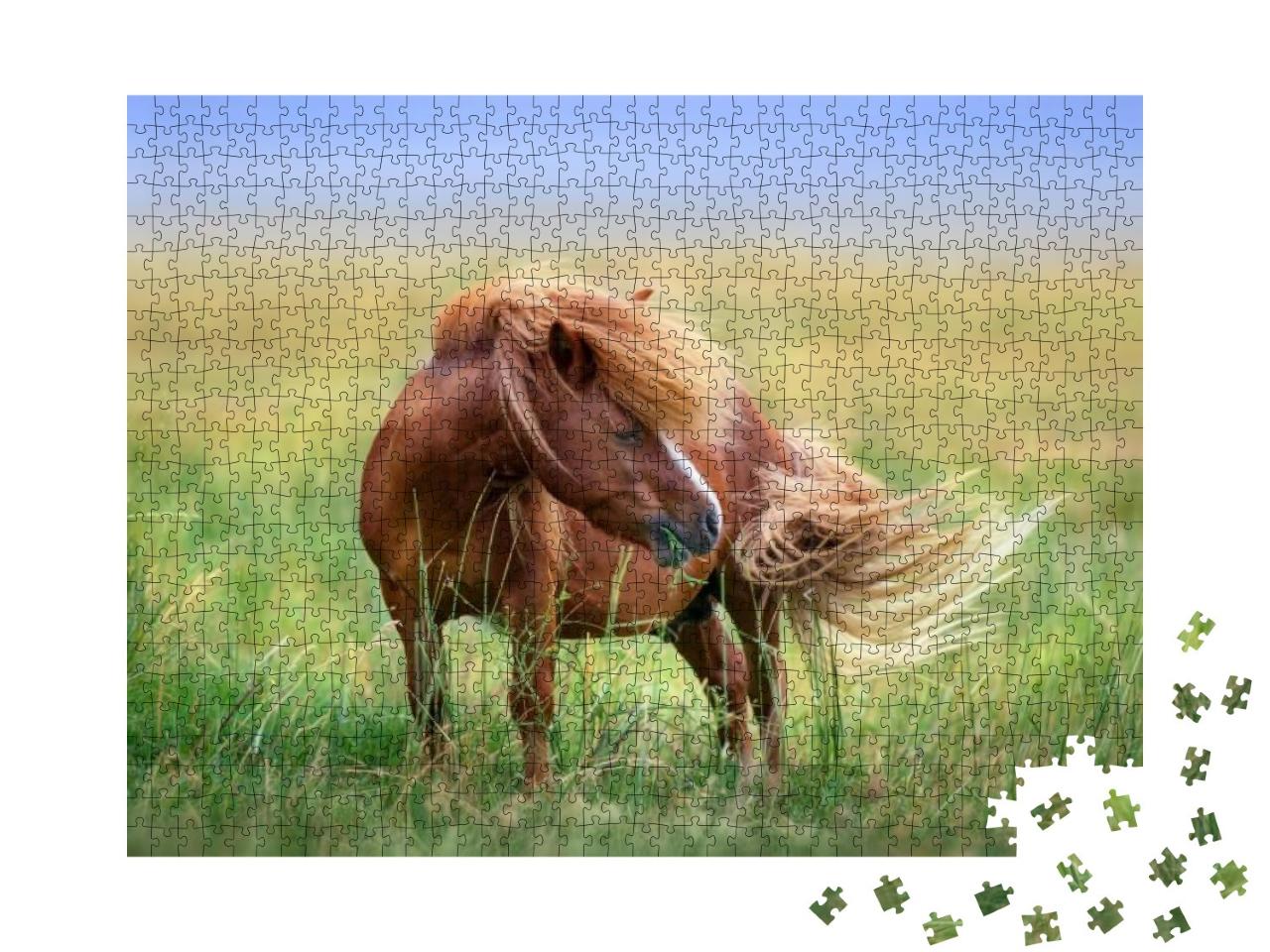 Puzzle 1000 Teile „Pony auf der Weide im Frühlingswind“