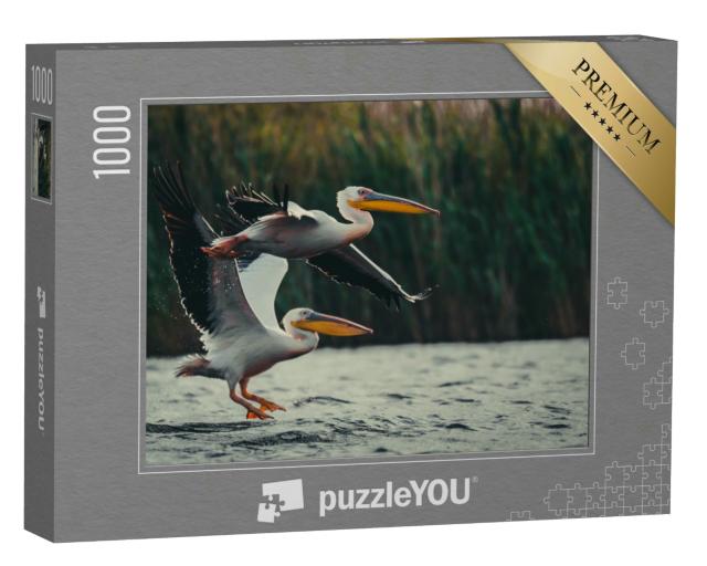Puzzle 1000 Teile „Zwei Pelikane“