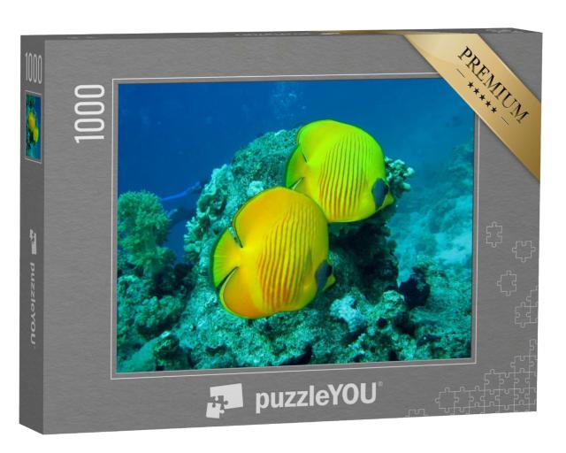 Puzzle 1000 Teile „Korallenriff mit Fischen des Roten Meeres in Ägypten“