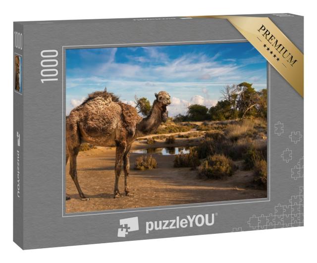 Puzzle 1000 Teile „Ein zotteliges Dromedar an einem Wasserloch“