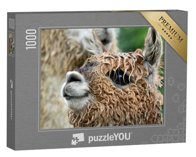 Puzzle 1000 Teile „Nahaufnahme eines Alpakas“