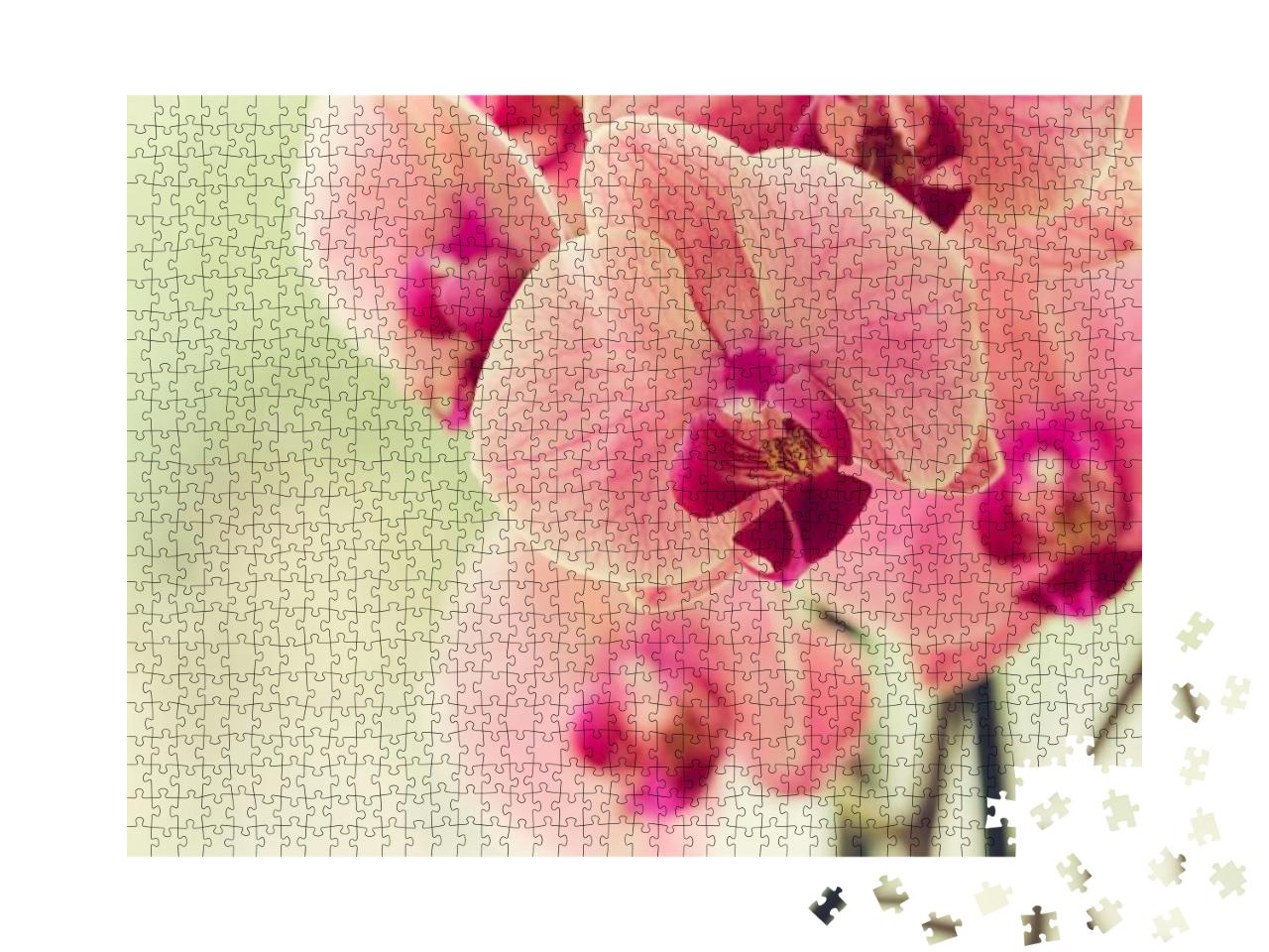 Puzzle 1000 Teile „Zweig einer blühenden zartrosa Orchidee“