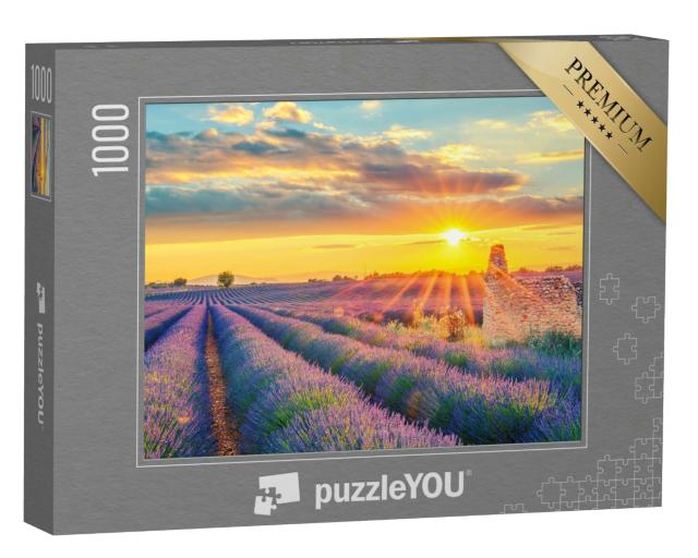 Puzzle 1000 Teile „Ein Lavendelfeld im Sonnenuntergang in Frankreich“