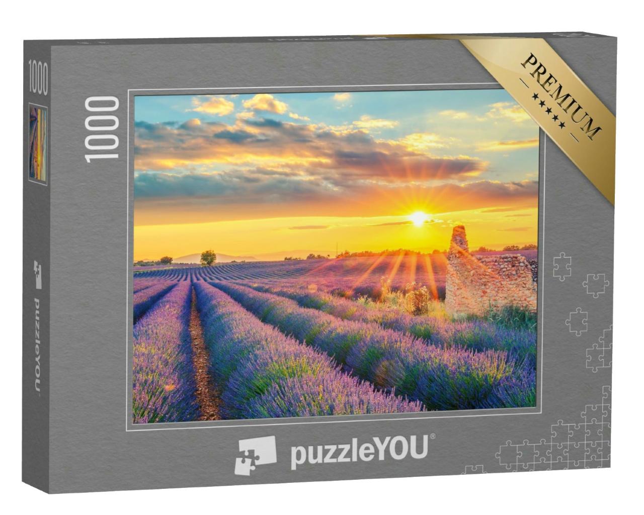 Puzzle 1000 Teile „Ein Lavendelfeld im Sonnenuntergang in Frankreich“