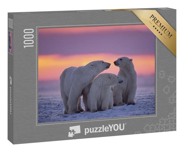 Puzzle 1000 Teile „Eisbärenfamilie im Sonnenuntergang in der kanadischen Arktis“