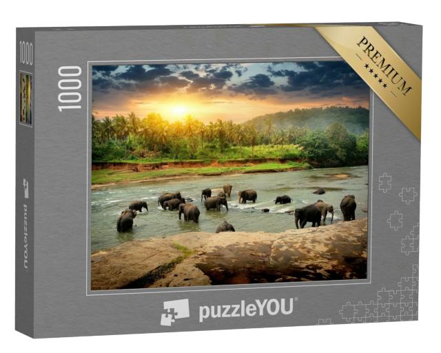 Puzzle 1000 Teile „Elefantenherde beim Baden im Dschungel von Sri Lanka“