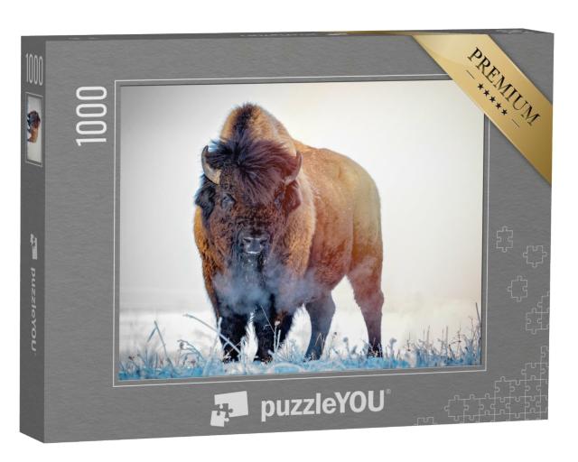 Puzzle 1000 Teile „Präriewisent an einem Wintermorgen“