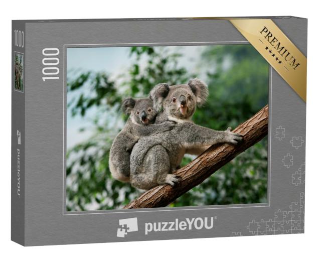 Puzzle 1000 Teile „Koala-Jungtier kuschelt sich an den Rücken seiner Mutter“