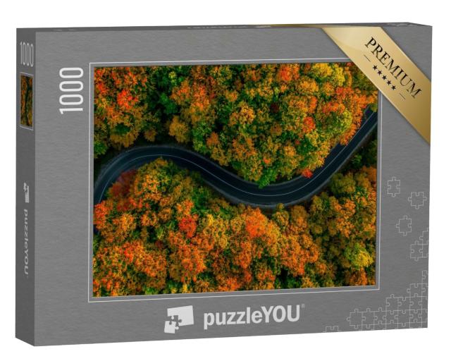 Puzzle 1000 Teile „Vogelperspektive: Gewundene Straße im dichten Herbstwald“