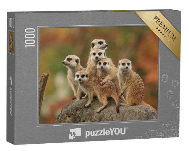 Puzzle 1000 Teile „Gruppe von Erdmännchen“