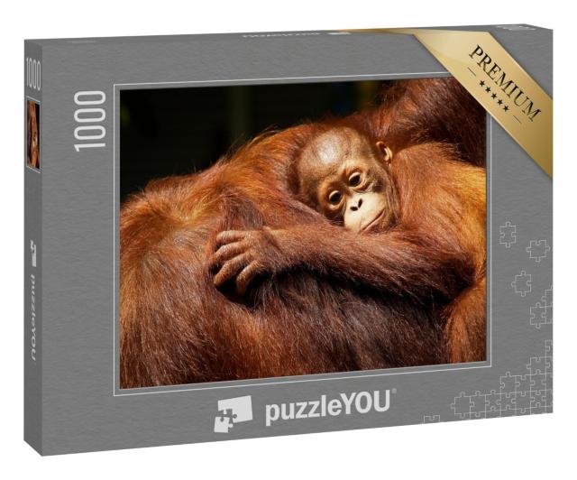Puzzle 1000 Teile „Orang-Utan-Weibchen und ihr Baby im Regenwald“