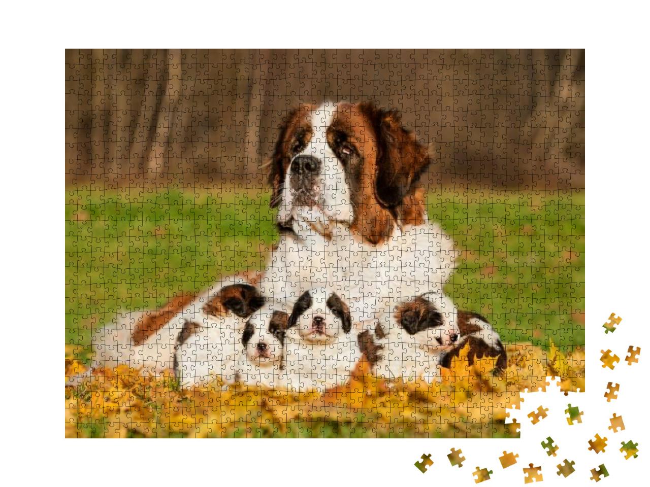 Puzzle 1000 Teile „Bernhardiner mit Welpen im Herbst“