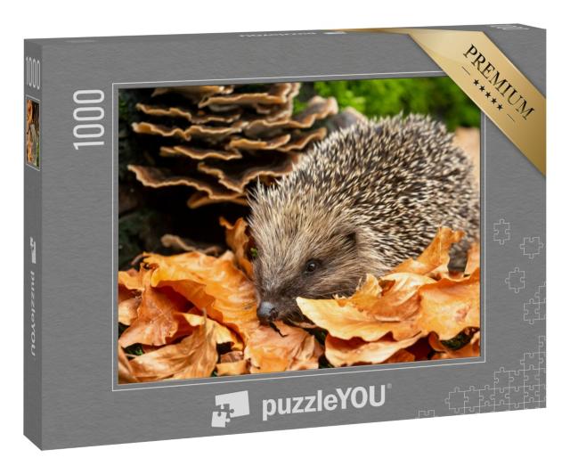 Puzzle 1000 Teile „Süßer Igel im Herbstlaub“