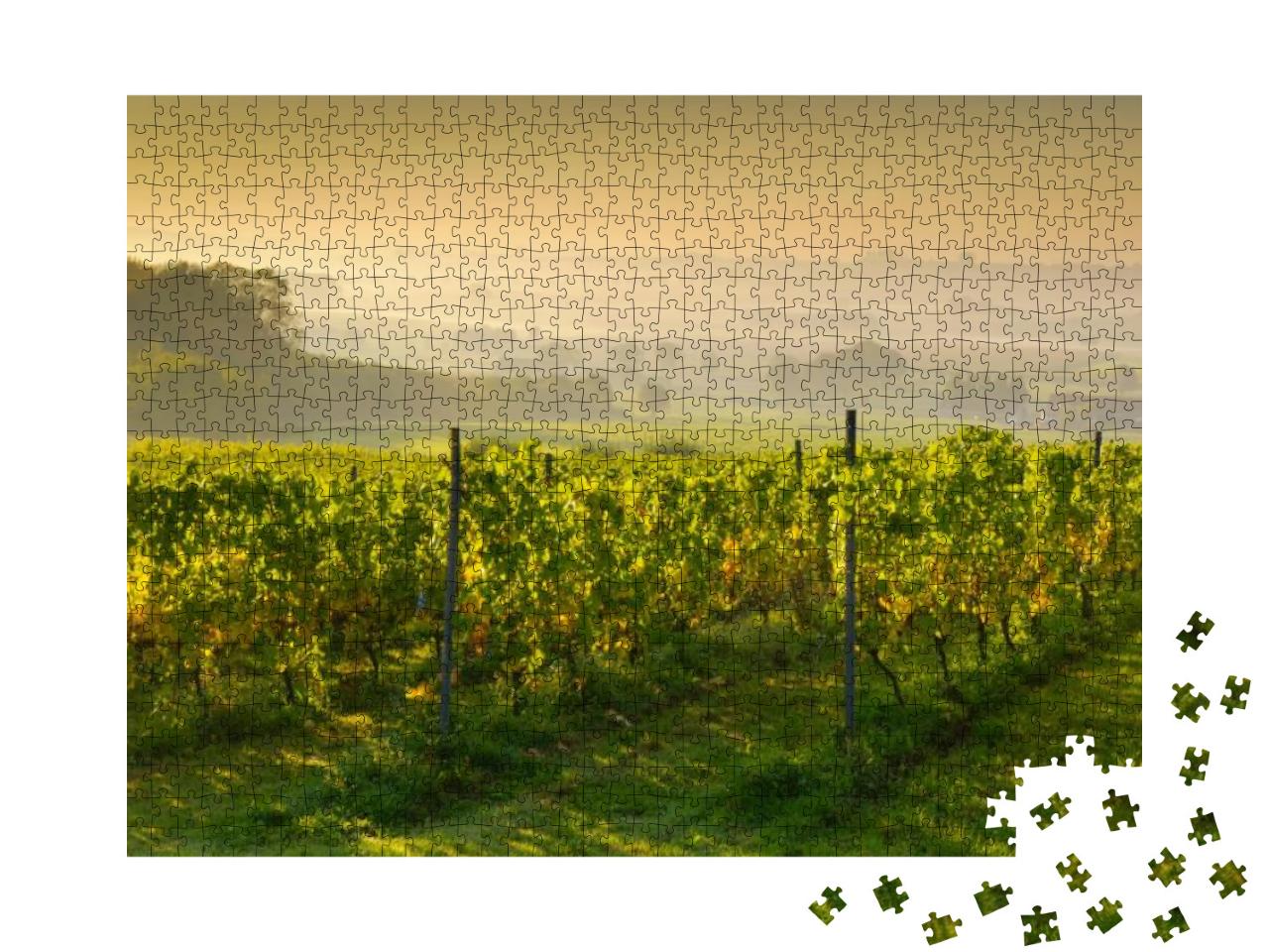 Puzzle 1000 Teile „Sonnenuntergang in einem Weinberg“