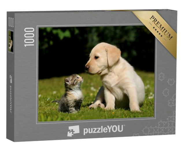 Puzzle 1000 Teile „Katze und Hund“