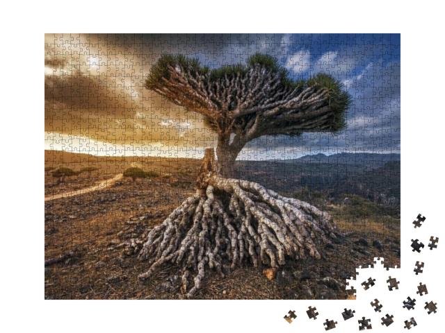 Puzzle 1000 Teile „Drachenbäume auf dem Dixam-Plateau, Insel Socotra, Jemen“