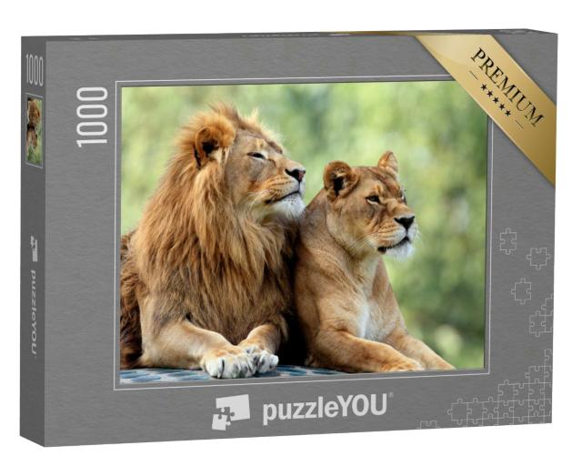 Puzzle 1000 Teile „Löwenmännchen und Löwenweibchen“