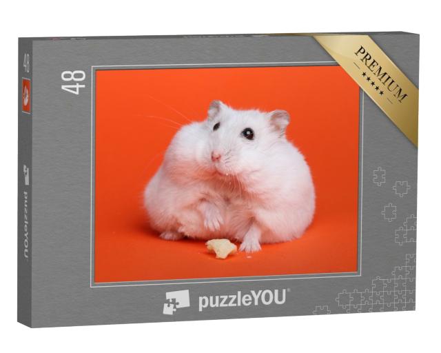 Puzzle 48 Teile „Fluffiger weißer Hamster “