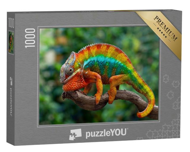 Puzzle 1000 Teile „Schöner Chamäleon-Panther“