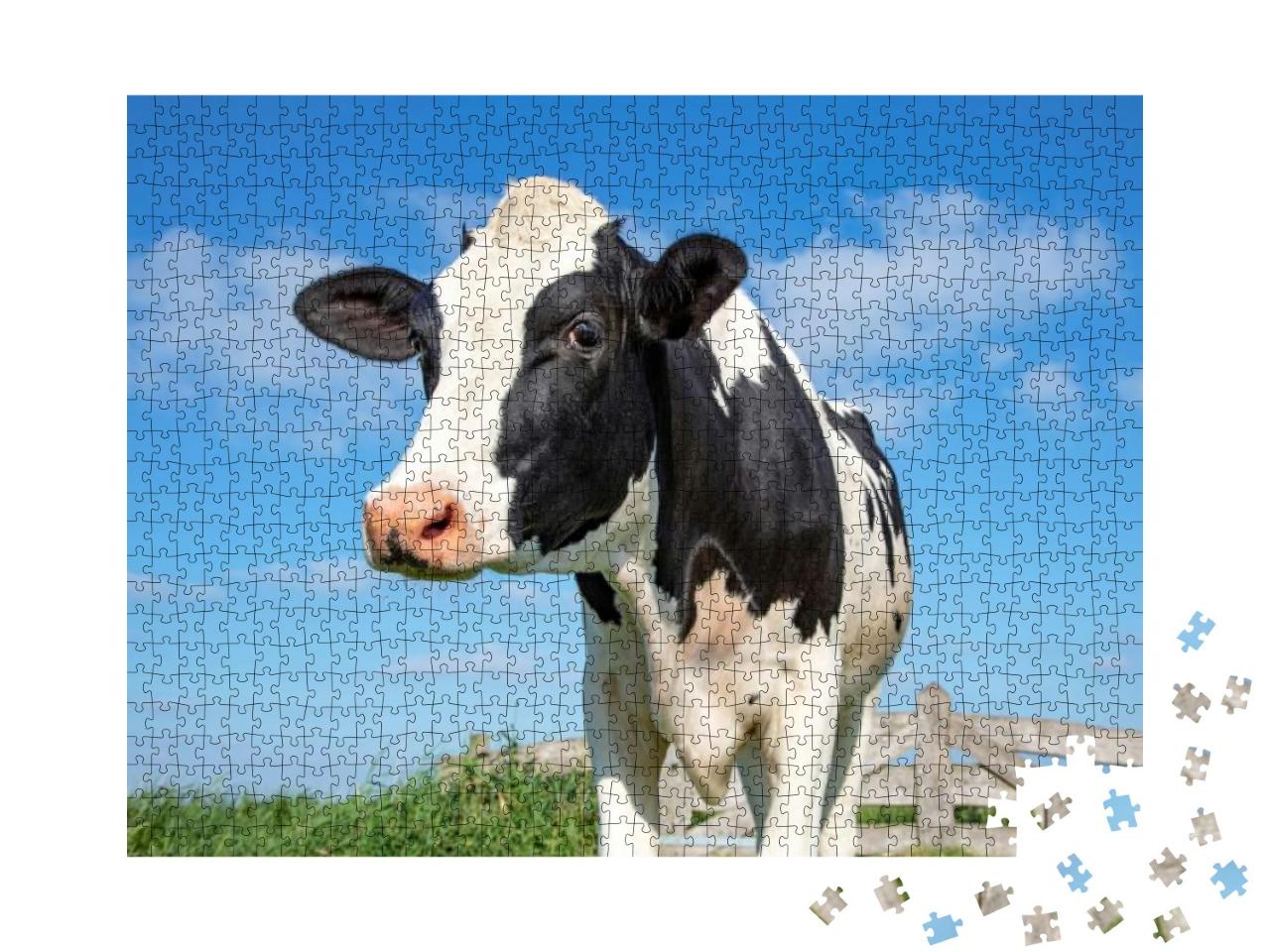Puzzle 1000 Teile „Auge in Auge mit einer Kuh“