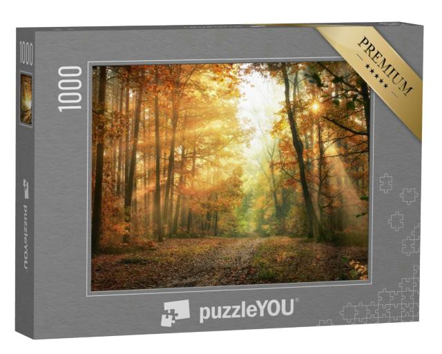Puzzle 1000 Teile „Herbstmorgen im Wald“