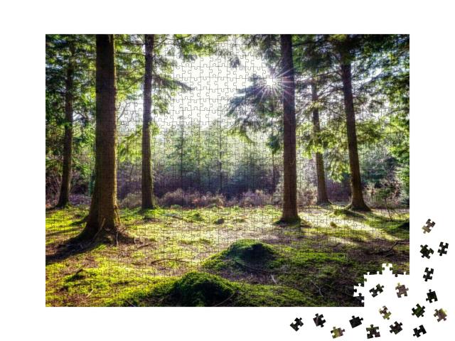 Puzzle 1000 Teile „Idyllischer Wald in Ladock, Cornwall, England “