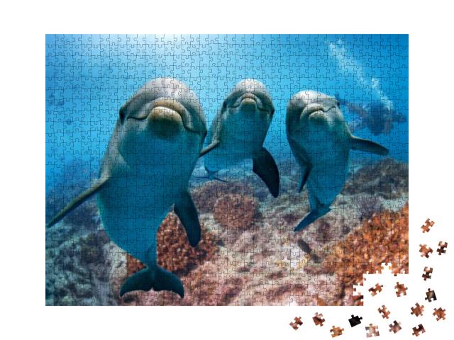 Puzzle 1000 Teile „Portraitaufnahme: Delfin“