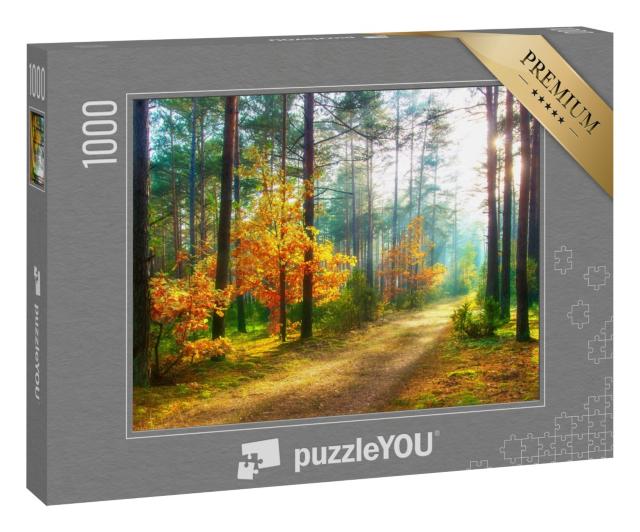 Puzzle 1000 Teile „Waldlandschaft im Herbst“