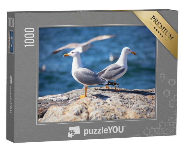 Puzzle 1000 Teile „Zwei Seemöwen am Strand“