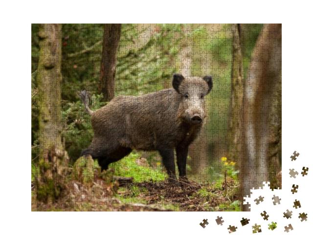 Puzzle 1000 Teile „Wildschwein in der Tschechischen Republik“