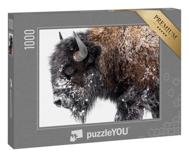 Puzzle 1000 Teile „Wisente auf dem Weg in den Schnee“