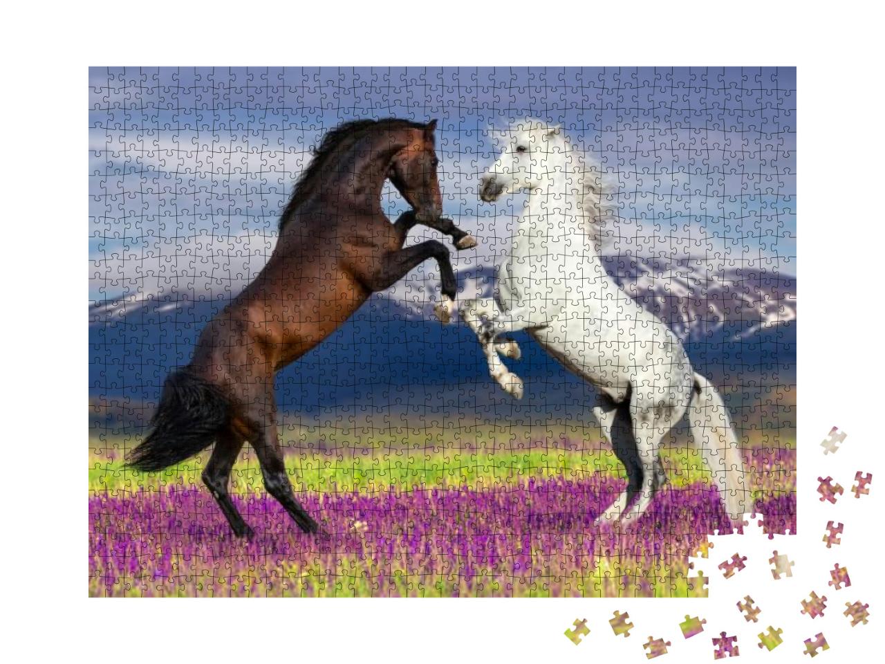 Puzzle 1000 Teile „Wilde Schönheit: Zwei tanzende Pferde“