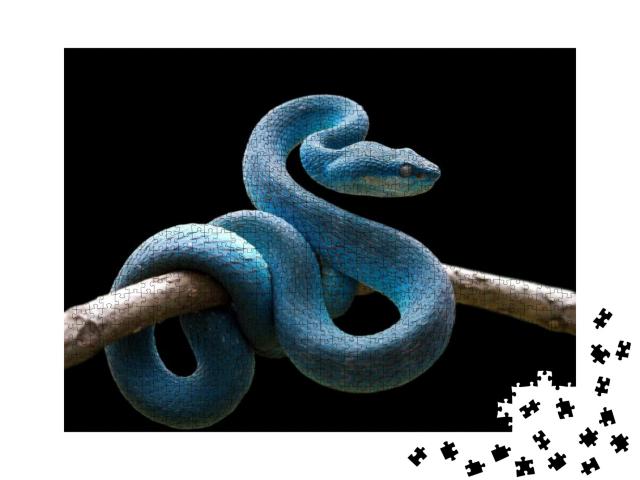 Puzzle 1000 Teile „Blaue Vipernatter auf Zweig, Trimeresurus Insularis“