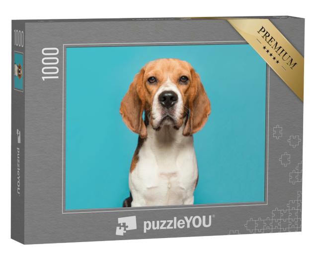 Puzzle 1000 Teile „Porträt eines Beagles“