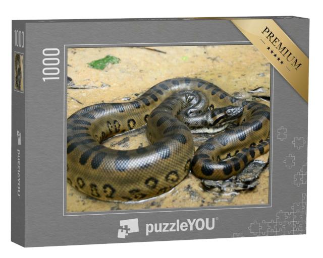 Puzzle 1000 Teile „Grüne Anakonda“