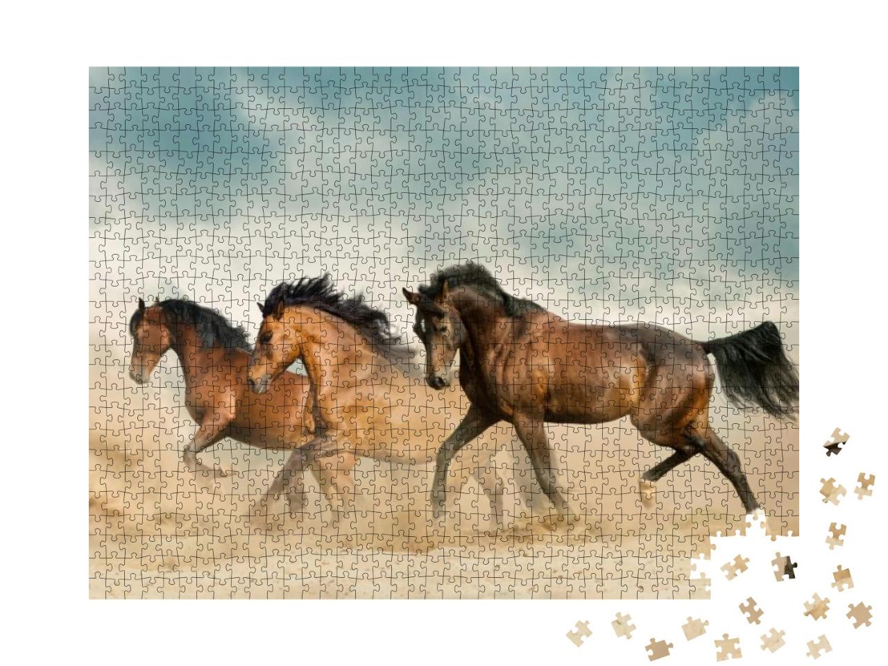 Puzzle 1000 Teile „Braune Pferde streifen durch die Wüste“