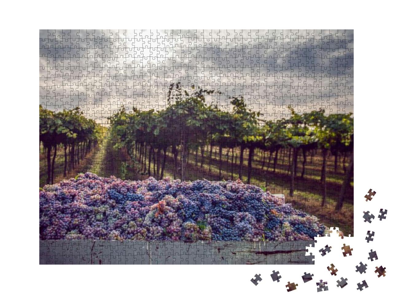 Puzzle 1000 Teile „Weinlese im Weinberg “