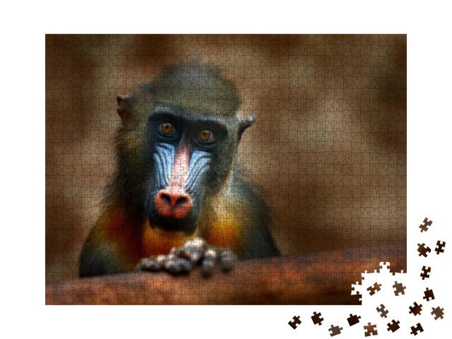 Puzzle 1000 Teile „Der Mandrill: Ein Affe aus Zentralafrika“