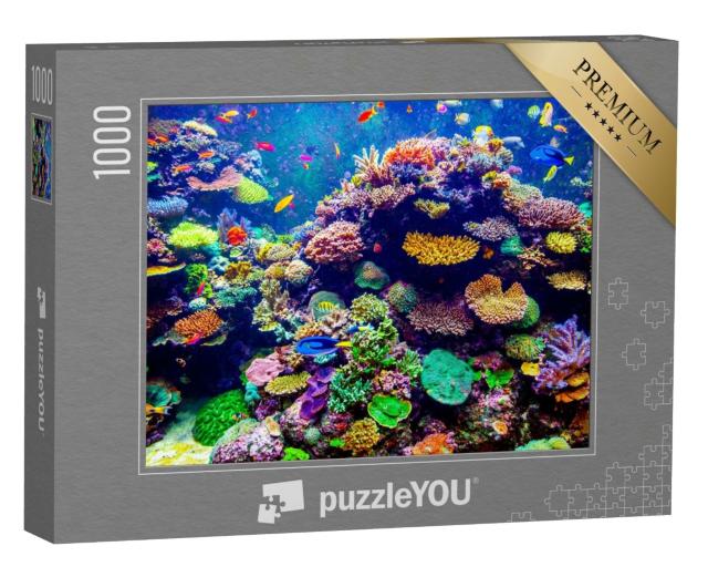 Puzzle 1000 Teile „Singapur Aquarium - Korallen und tropische Fische“