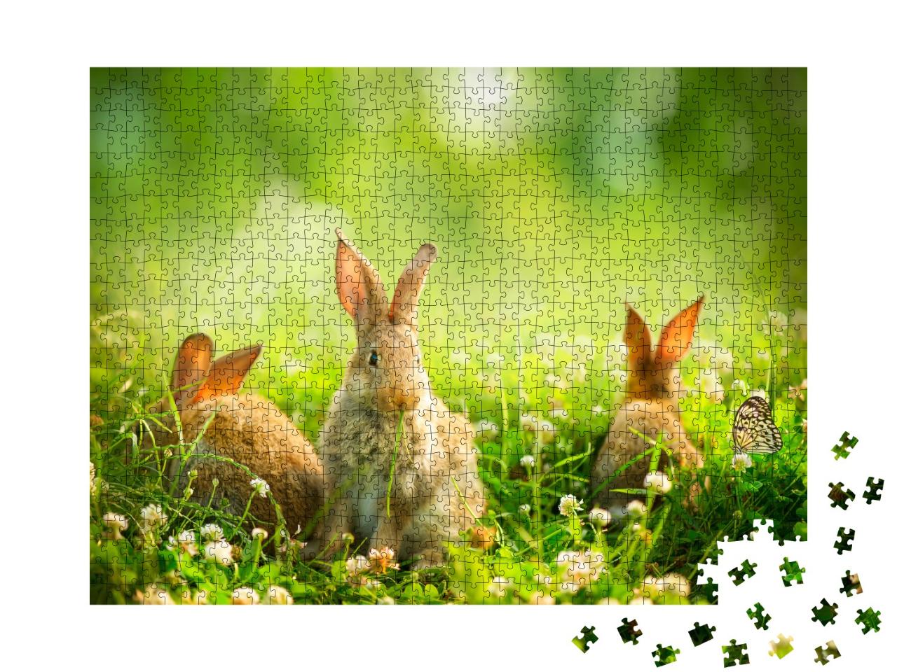 Puzzle 1000 Teile „Kaninchen zwischen Frühlingsblumen und grünem Gras“