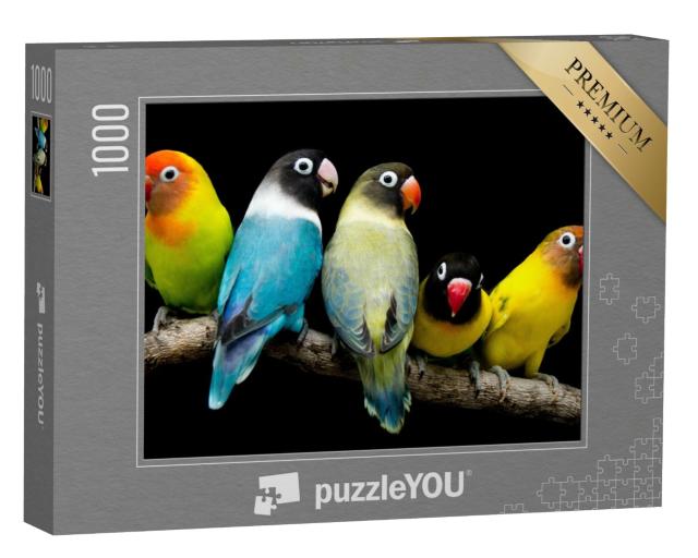 Puzzle 1000 Teile „Papagei mit prächtigen Farben“