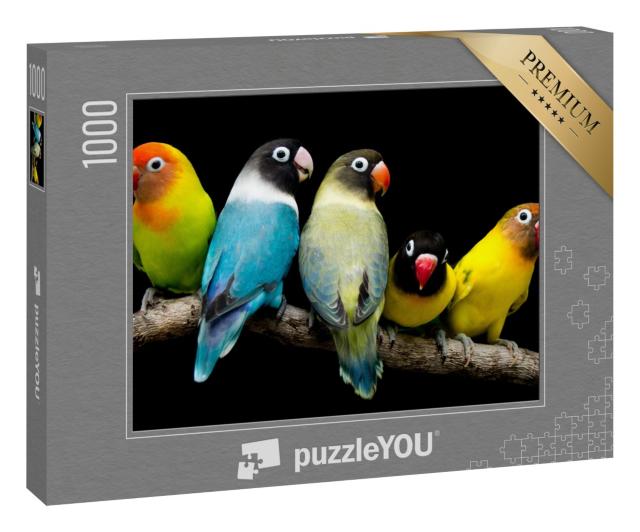 Puzzle 1000 Teile „Papagei mit prächtigen Farben“