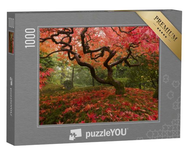 Puzzle 1000 Teile „Schöner japanischer Ahorn im Herbst“