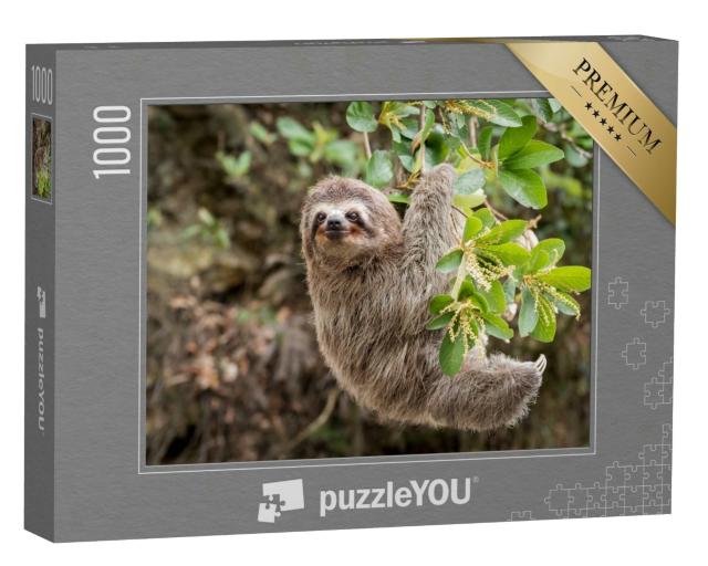 Puzzle 1000 Teile „Dschungelansicht: Faultier“