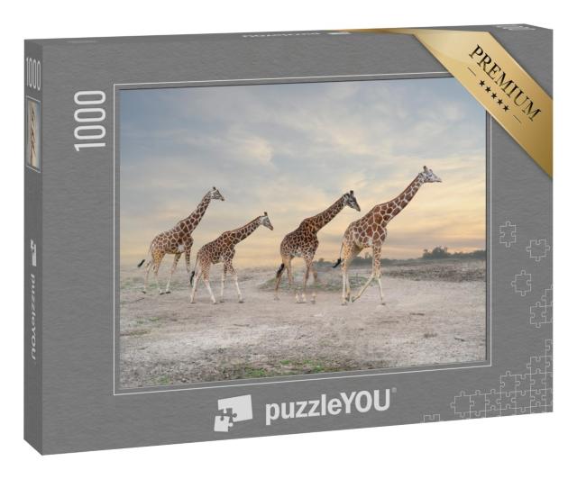 Puzzle 1000 Teile „Giraffenherde“
