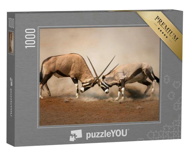 Puzzle 1000 Teile „Kampf zwischen zwei männlichen Gemsböcken“