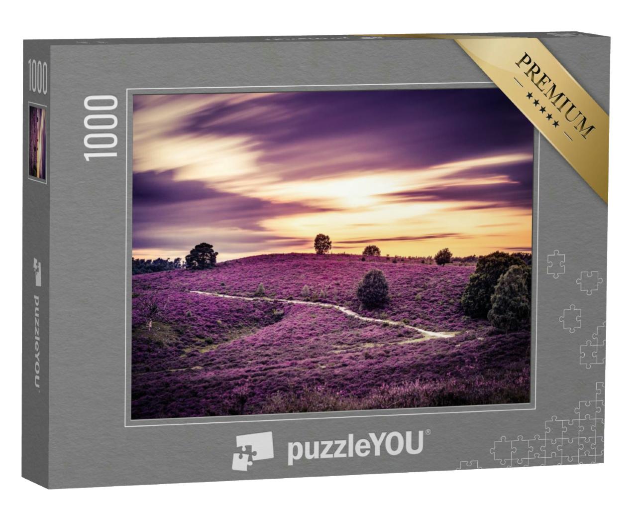 Puzzle 1000 Teile „Heidekraut in der Blüte, Nationalpark Veluwe, Niederlande“