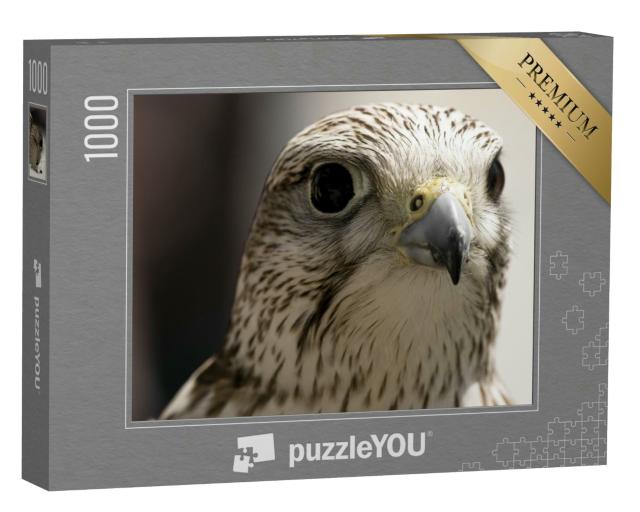 Puzzle 1000 Teile „Porträt eines Raubvogels“