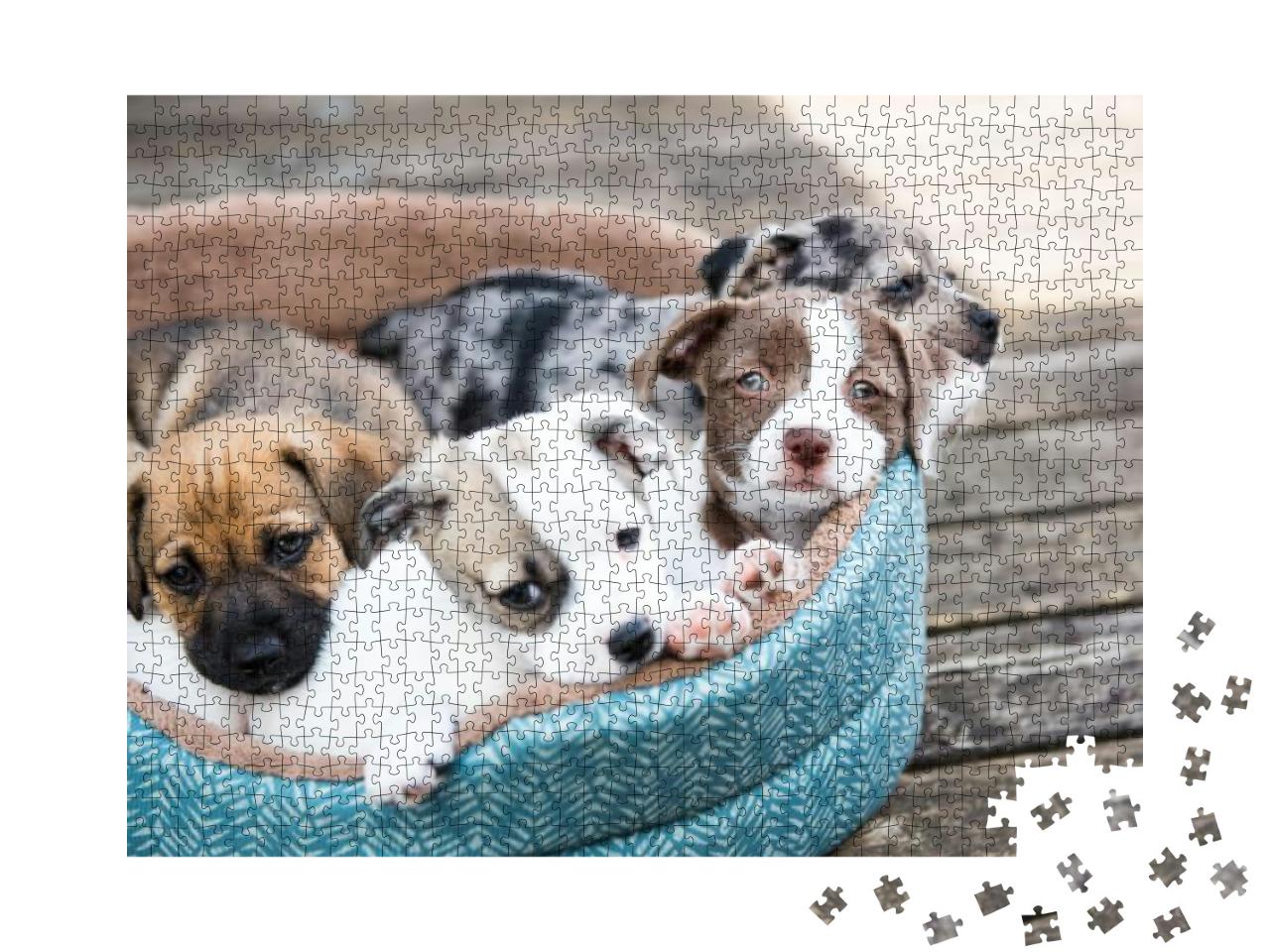 Puzzle 1000 Teile „Terrier-Mix-Welpen auf der Holzterrasse “